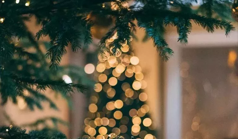 Sapin de noël qui s'illumine